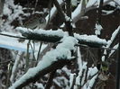 DSCN2679
