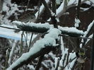 DSCN2680