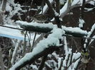 DSCN2683