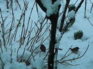 DSCN2807