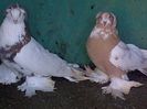 IMG-20141224-01315