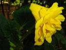 IMG_0136