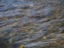 DSC08949