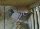 Imag 012384
