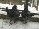 PICT0023