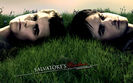 Salvatore brothers (1)