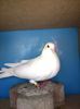 WP_20150106_052
