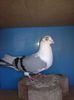 WP_20150106_077