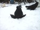 20141229_150147