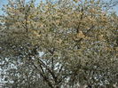 Picture 105