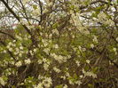 Picture 113