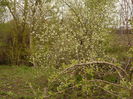 Picture 115