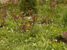 Picture 124