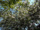 Picture 138
