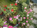 Picture 270