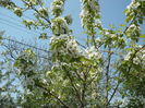 P1120760