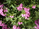 P1120872