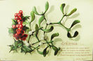 BRIGHT AS GLOWS THE HOLLY BERRY, BRIGHT AS GLEAM ITS POINTED LEAVES, BE THE GLADSOME SPELLS THAT MER