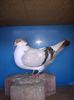 WP_20150107_131
