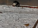 DSC01106