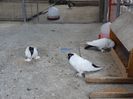 DSC00277