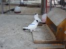 DSC00278