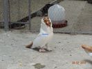 DSC00291