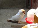 DSC00293