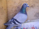 Picture 036