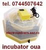 incubator pui