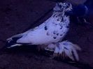 IMG-20141214-01284