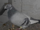 DSCN0620
