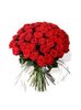buchet-49-trandafiri-rosii--p9876