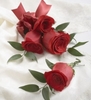 trandafiri-rosii_3_jpg_d