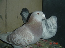 DSC00130