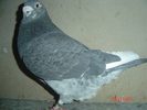 m08