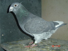m08
