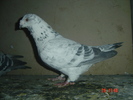 m05
