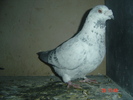 m05