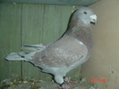 m06