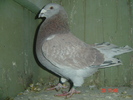 DSC00144
