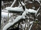 DSCN1598