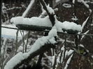 DSCN1602