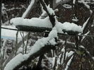 DSCN1603