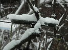 DSCN1604