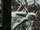 DSCN1618