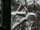 DSCN1620