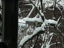 DSCN1621