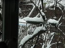 DSCN1622