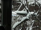 DSCN1623